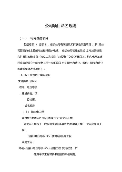 国网公司项目命名规则0429.doc