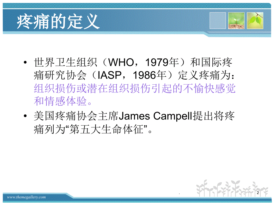 医学课件骨科常见疼痛的处理ppt演示课件.ppt_第2页