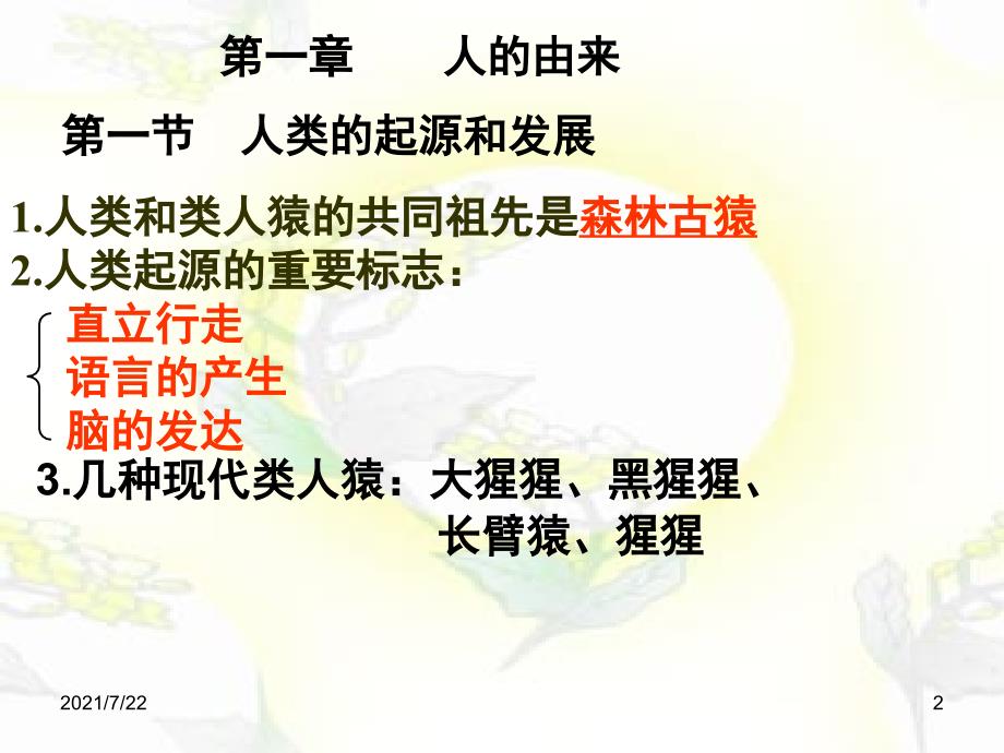 人教版七年级下册生物总复习PPT课件.ppt_第2页