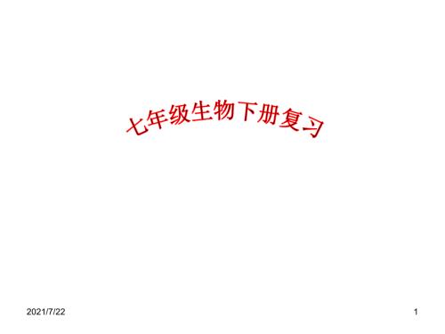 人教版七年级下册生物总复习PPT课件.ppt