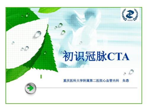 冠脉CTA初步解读PPT课件.ppt