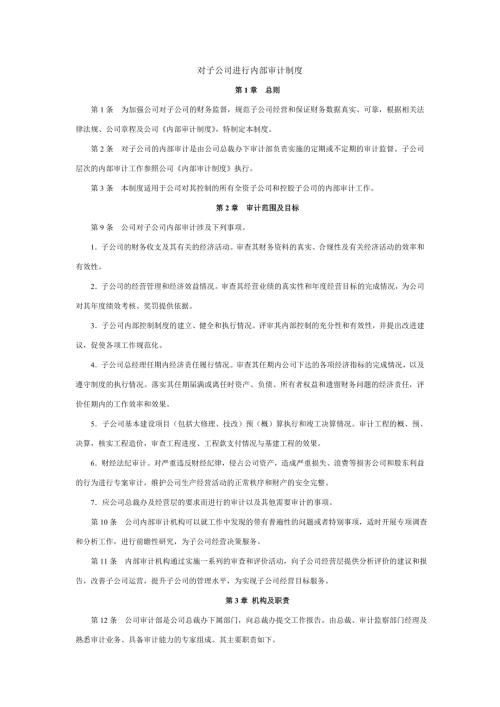 对子公司进行内部审计制度.doc