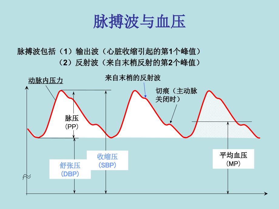 中心动脉压的测定与临床意义.ppt_第2页