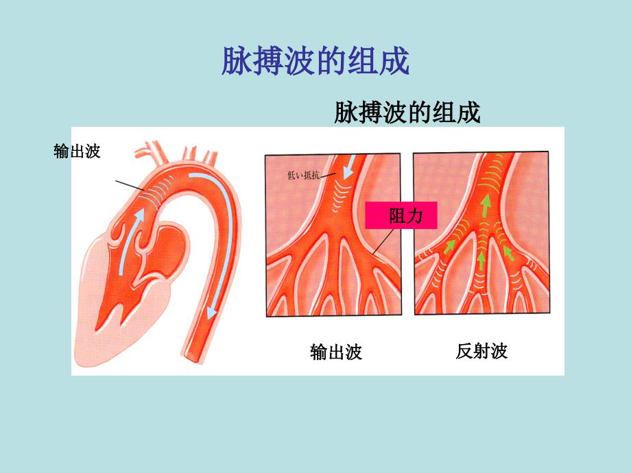 中心动脉压的测定与临床意义.ppt_第3页