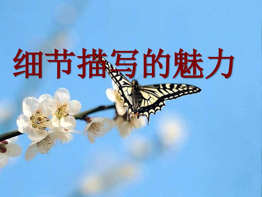 作文细节描写PPT课件.ppt_第1页