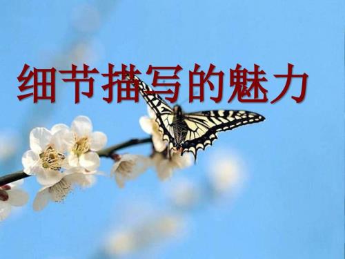 作文细节描写PPT课件.ppt