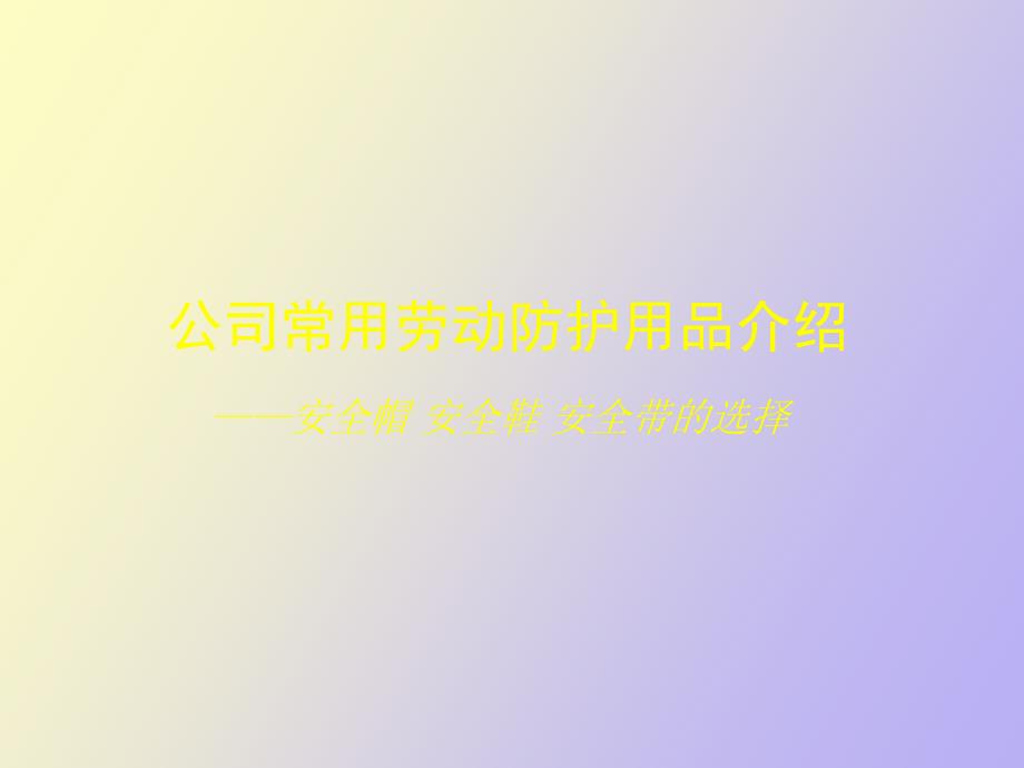 劳保用品使用维护培训.ppt_第2页