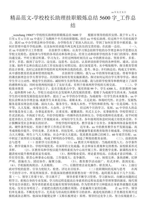 学校校长助理挂职锻炼总结5600字工作总结.doc