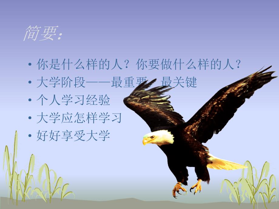 大学学习经验交流会.ppt_第3页