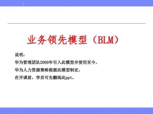业务领先模型BLM模型张早早.ppt