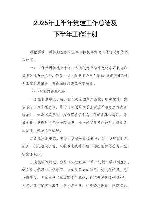 2025年上半年《党建工作总结》及下半年工作计划.docx