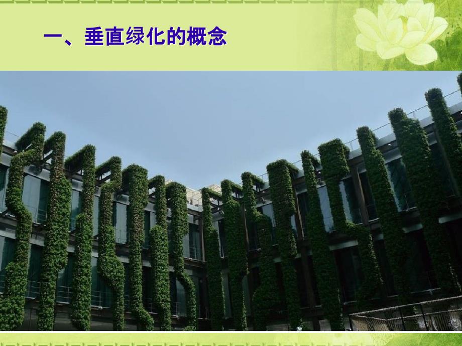 垂直绿化及屋顶绿化.ppt_第3页