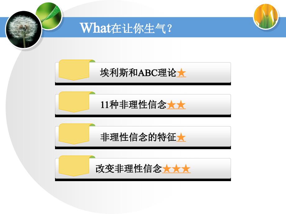 埃利斯ABC理论PPT课件.ppt_第2页