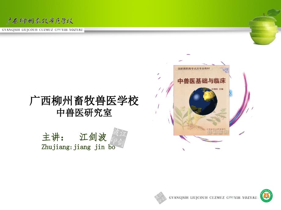 中兽医基础中药.ppt_第1页