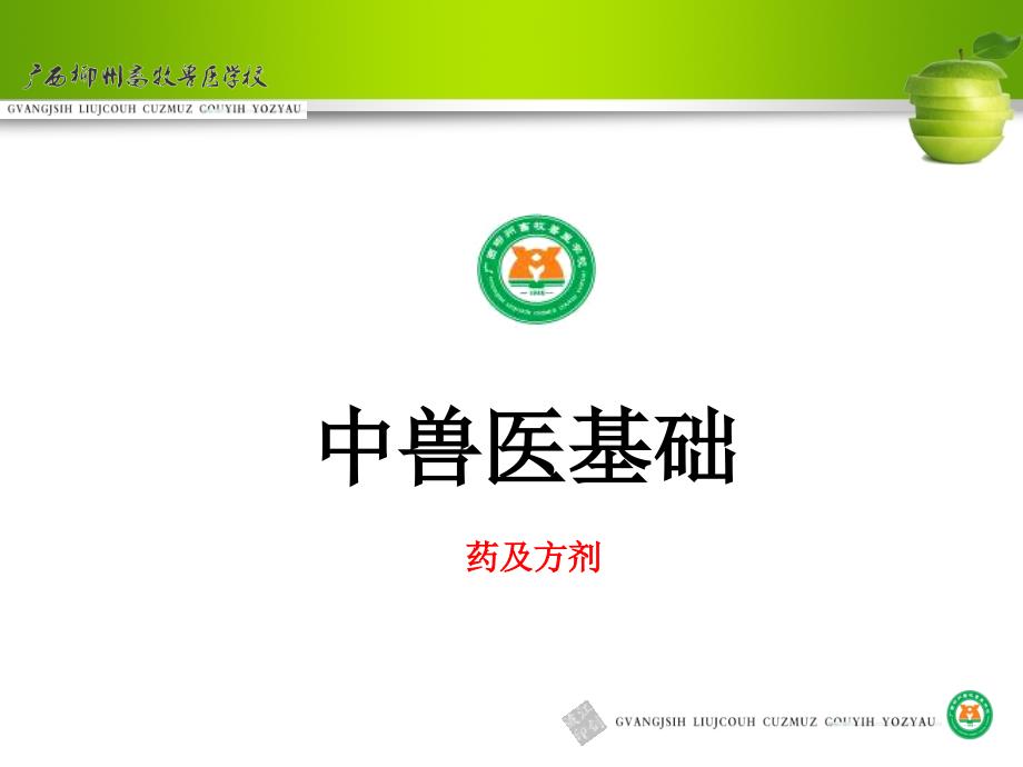 中兽医基础中药.ppt_第2页