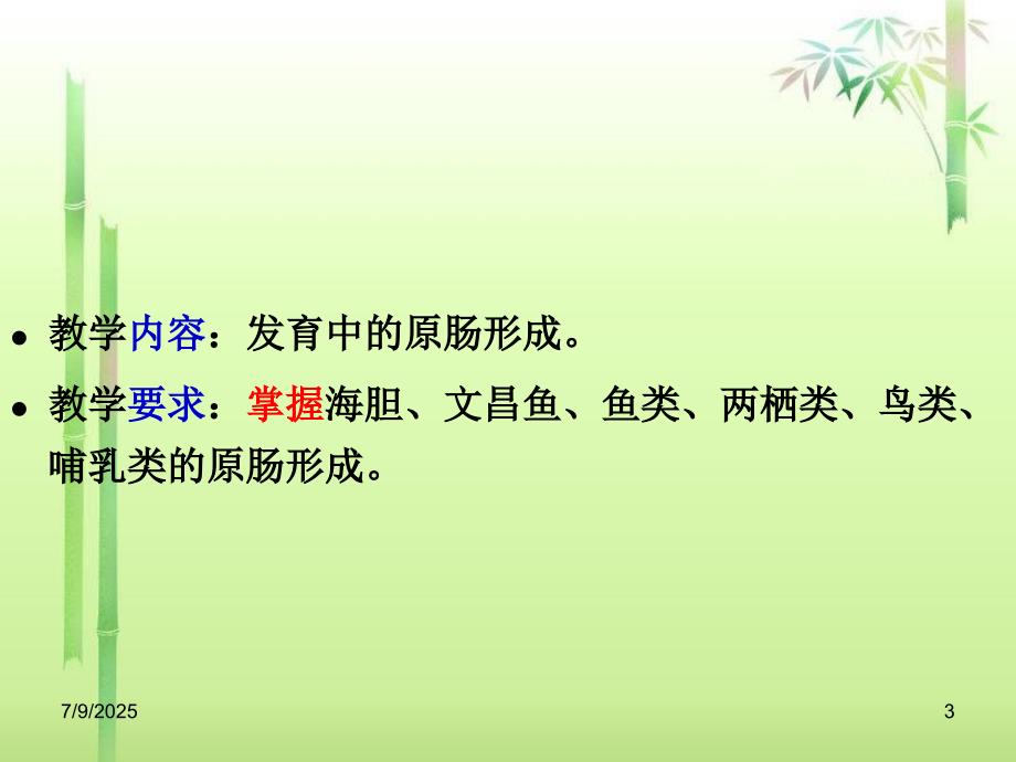 原肠作用PPT课件.ppt_第3页