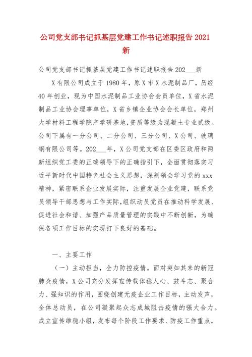 公司党支部书记抓基层党建工作书记述职报告2021新.docx