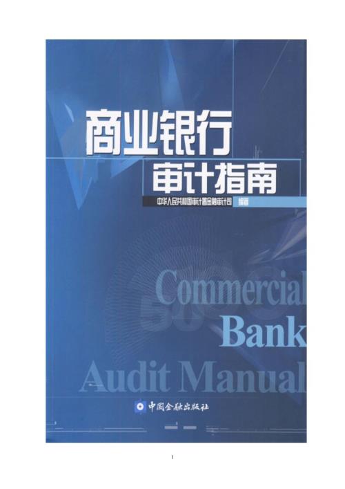 商业银行审计指南.doc