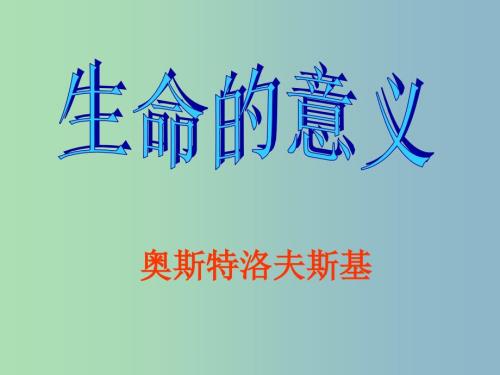 六年级语文上册生命的意义课件3沪教版.ppt