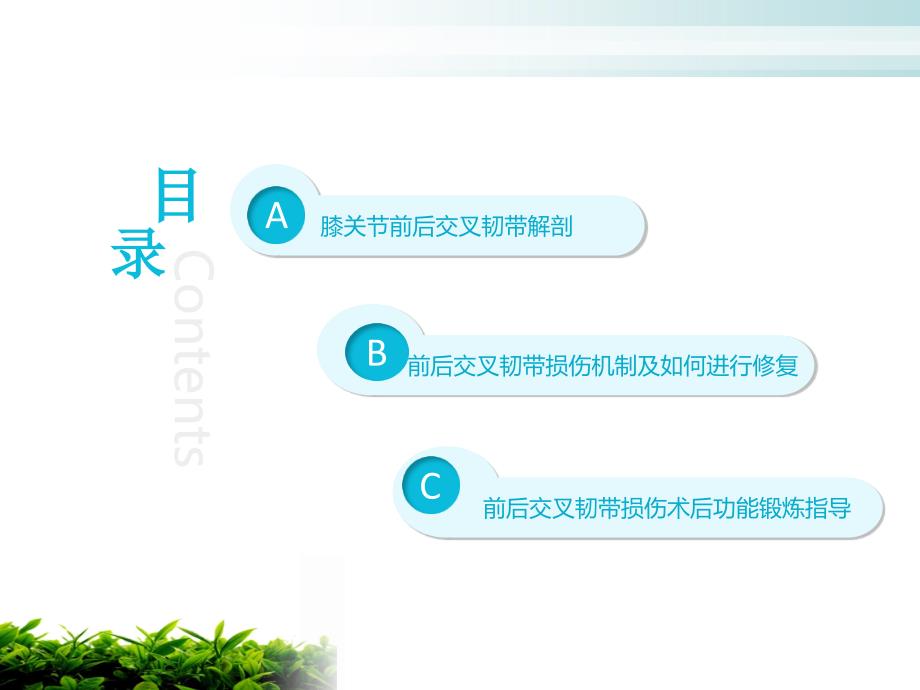 前后交叉韧带术后功能锻炼.ppt_第2页