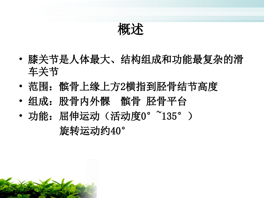 前后交叉韧带术后功能锻炼.ppt_第3页