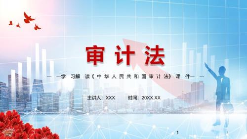 完整解读2021年新修订审计法实用PPT讲座学习.pptx