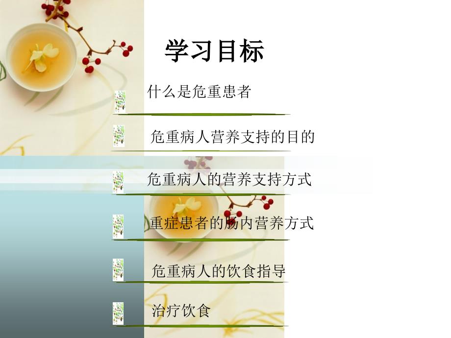 危重病人的饮食护理.ppt_第2页