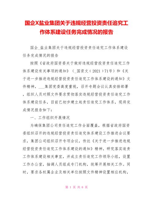 国企X盐业集团关于违规经营投资责任追究工作体系建设任务完成情况的报告.doc