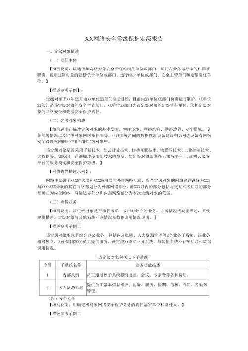 XX网络安全等级保护定级报告.docx