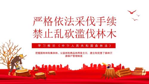严格依法采伐手续禁止乱砍滥伐林木学习解读中华人民共和国森林法专题PPT课件.pptx
