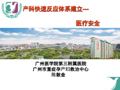 产科医疗质量.ppt