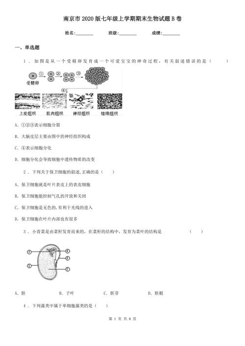 南京市2020版七年级上学期期末生物试题B卷.doc