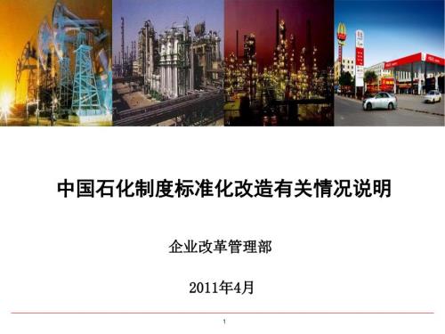 中国石化标准化制度体系建设与规划.ppt