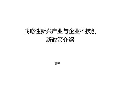 国家创新体系与企业技术创新政策.doc