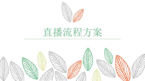 主播直播方案PPT课件.ppt