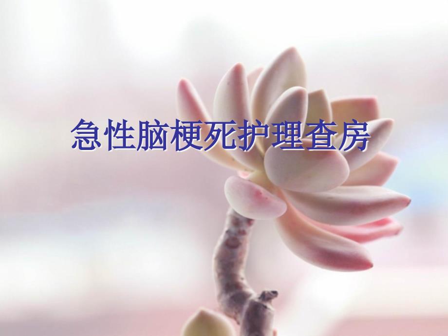出血性梗死护理查房.ppt_第1页