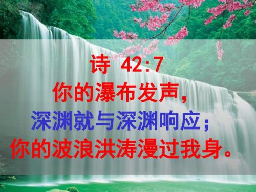 创世记22亚伯拉罕奉献的榜样.ppt