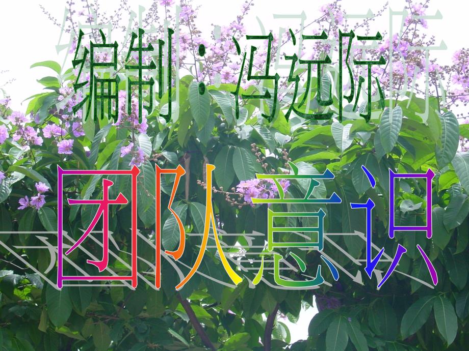 团队意识PPT课件.ppt_第1页