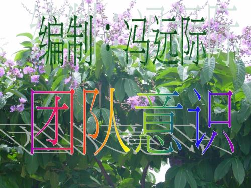 团队意识PPT课件.ppt