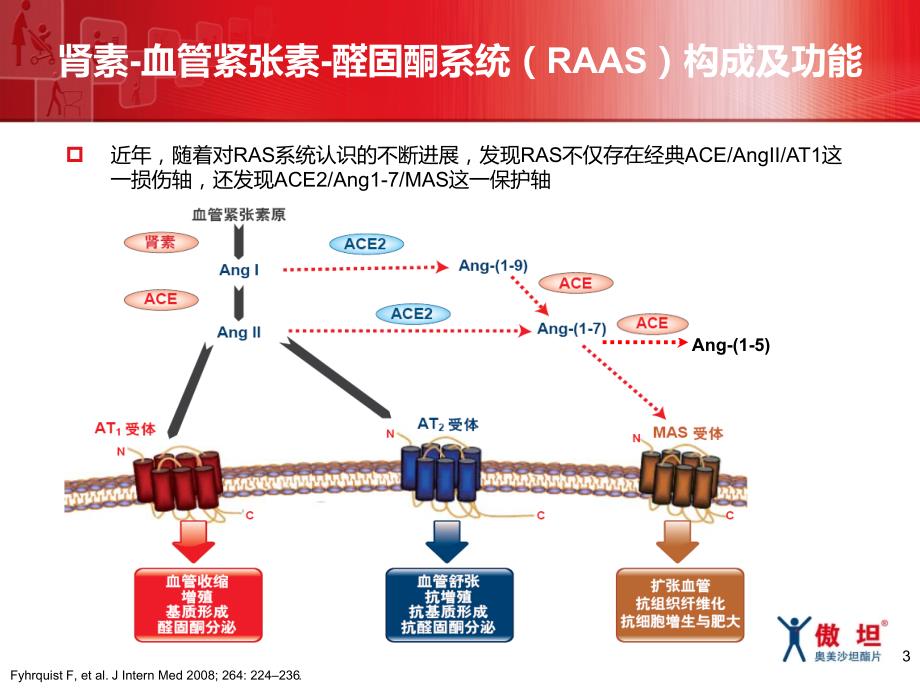 奥美沙坦独特机制独特ARB.ppt_第3页