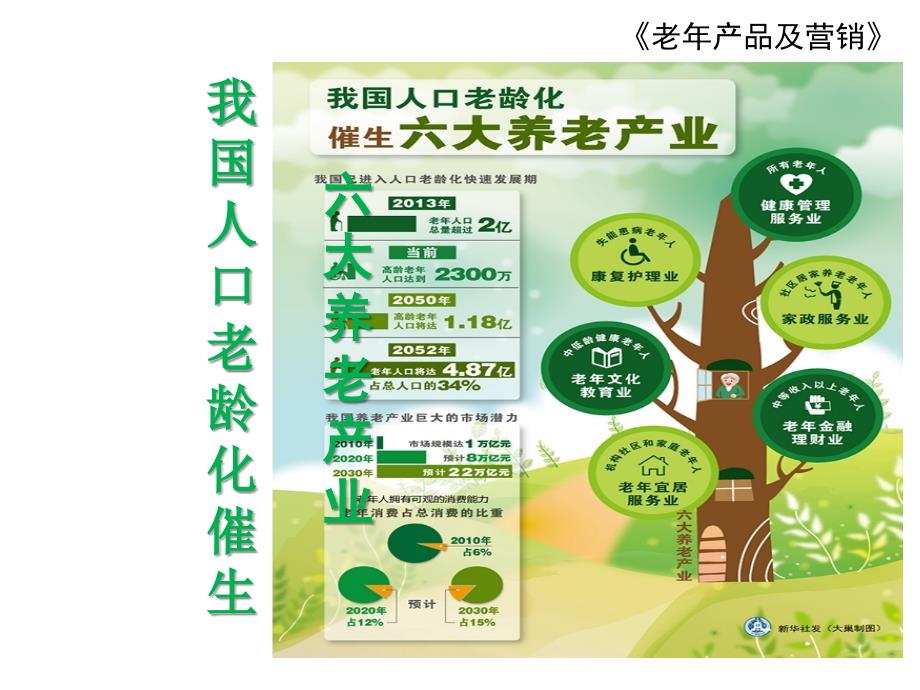 养老产业及老年产品与服务精.ppt_第2页