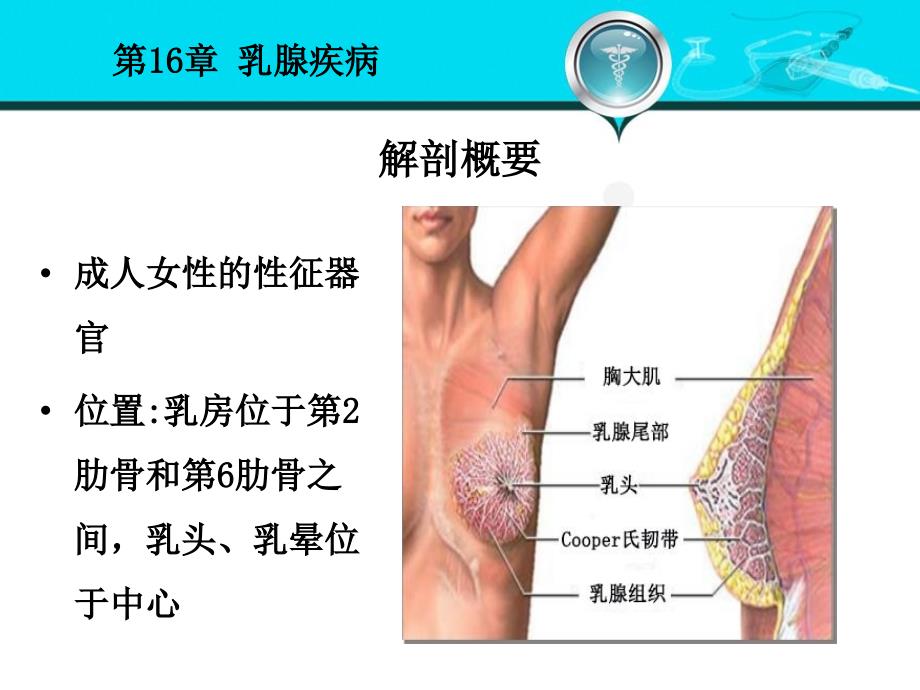 乳腺疾病PPT课件.ppt_第3页