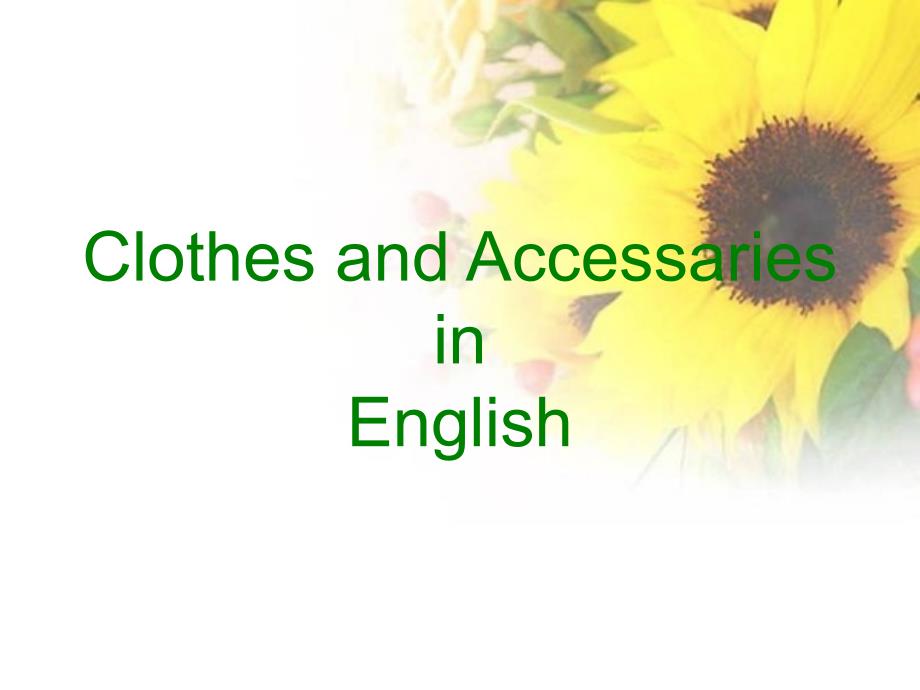 各种服饰的英文说法.ppt_第1页