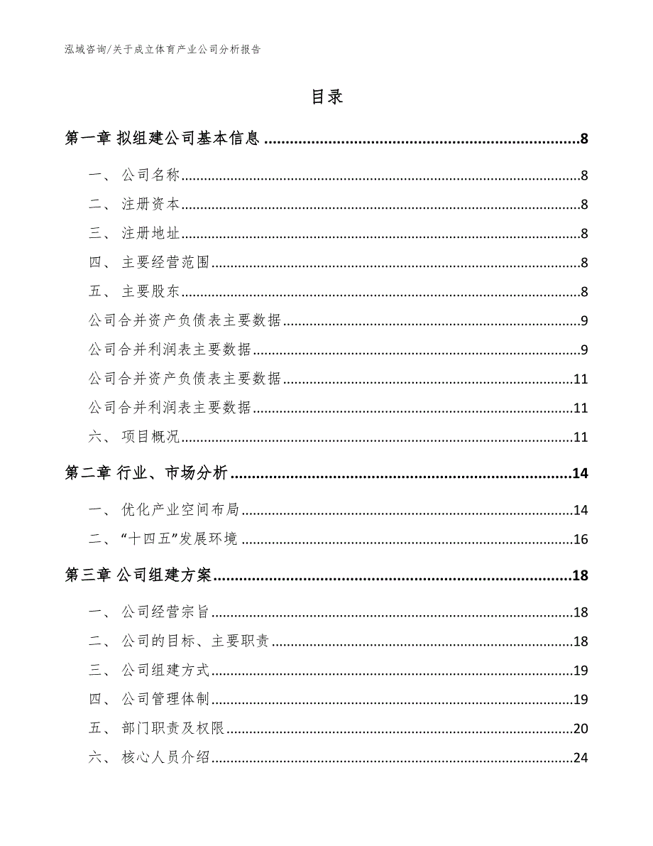 关于成立体育产业公司分析报告模板范文.docx_第2页