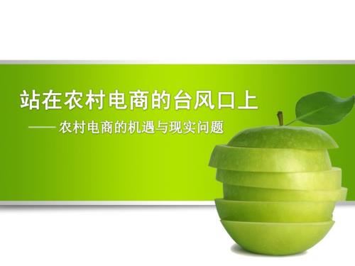农村电商的机遇与现实问题PPT演示课件.pptx
