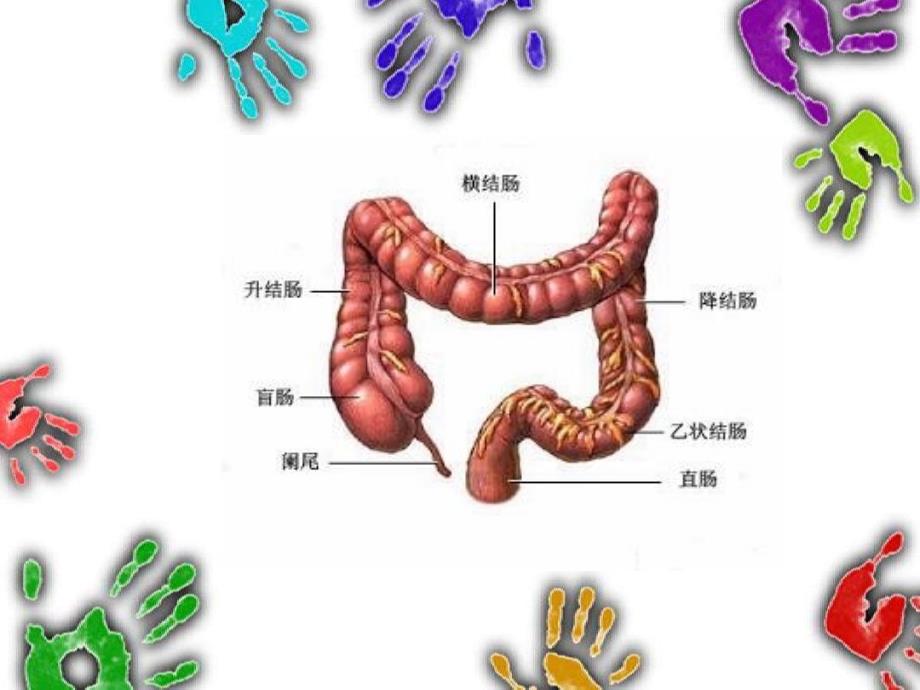 内镜下肠息肉摘除术后护理ppt.ppt_第3页