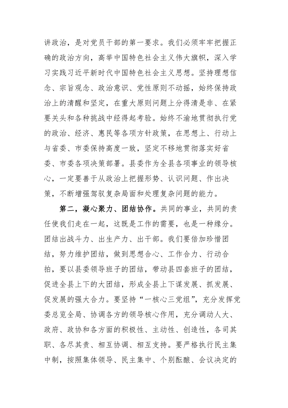 在新一县委第一次全委会上的讲话.docx_第2页