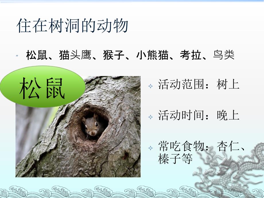 住在洞里的动物PPT课件.ppt_第3页