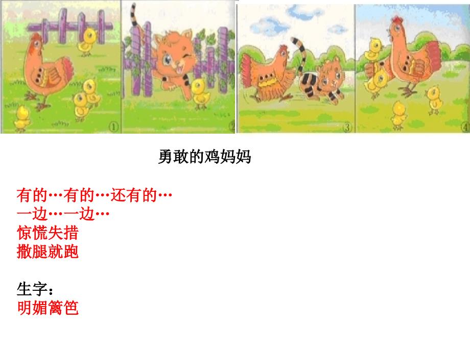 勇敢的鸡妈妈看图写话.ppt_第3页