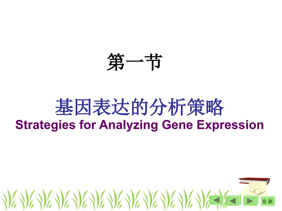 基因表达及功能分析基本策略袁野.ppt_第2页